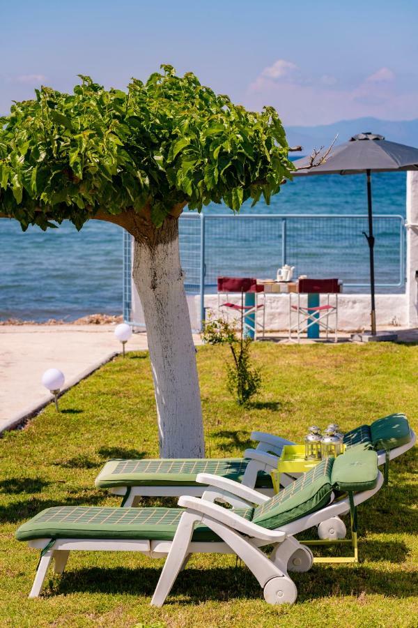 Kiko, The Coastline House Kato Achaia Exterior foto